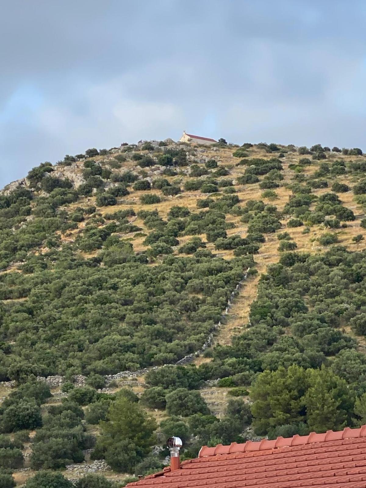 Apartmani Ines Marina Dış mekan fotoğraf